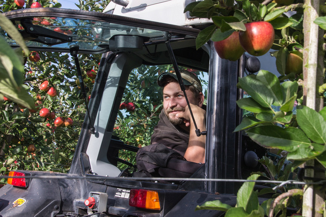 Tractor Driver at Castle Fruit Farm