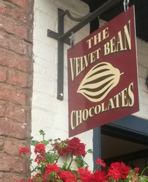 Velvet Bean 4 - cropped
